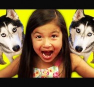 Kids React to Husky Dog Talking