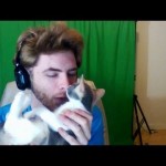 Kitten Commentary Vlog
