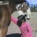 HORSE BITES GIRL’S HEAD!!