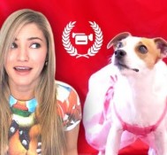 BALLERINA DOG! [ Vlog University #7 ]