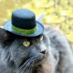 Top Hats for CATS! LÜT #25