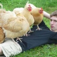 COVERED IN CHICKS — IMG! #41