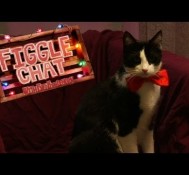 FRED Interviews Sneezle The Cat & Power Figgle Chat Ep. 6