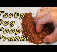 Tasty Dog Poop Prank!