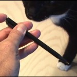The Simple Stink Pen!