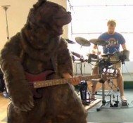 Fun with a bear suit, and my first feature film!