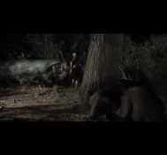Bear – Official HD Trailer