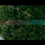 How a Slinky falls in Slow Motion – The Slow Mo Guys