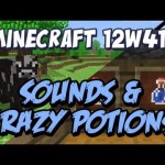 New Sounds and Crazy Potions! (Snapshot 12w41b)