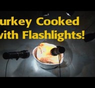 Thanksgiving Turkey Cooked with Flashlights!!