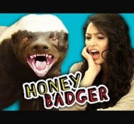 TEENS REACT TO THE HONEY BADGER (ft. Alex Steele!)