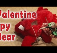 Valentine Spy Bear!