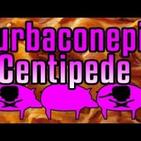Turbaconepicentipede – Epic Meal Time