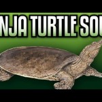 Ninja Turtle Soup – Epic Meal Time