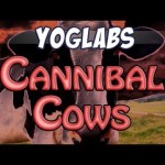 YogLabs – Cannibal Cows