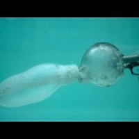 Underwater Bullets at 27,000fps – The Slow Mo Guys