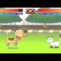 321 Fight: Cat Vs Dog