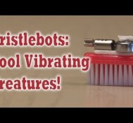 Bristlebots: Cool Vibrating Creatures!
