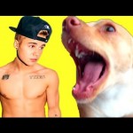 MY DOG’S THOUGHTS ON *JUSTIN BIEBER*!