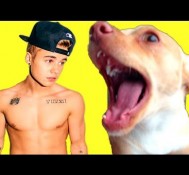 MY DOG’S THOUGHTS ON *JUSTIN BIEBER*!
