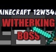 Wither Boss and Crazy Fire Spread (Snapshot 12w34a Part 3)