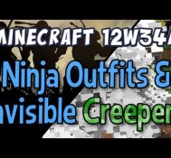 Ninja Outfits and Invisible Creepers (Snapshot 12w34a Part 2)