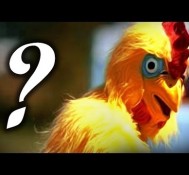 WHAT’S IT LIKE BEING A CHICKEN? (Oculus Rift)