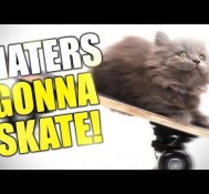 HOW TO: BE A PRO SKATER!