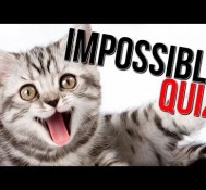 HARDEST GAME I’VE EVER PLAYED! – Impossible Quiz 2 – Part 3