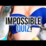 WHERE TO FIND BLUE BOOBS? – Impossible Quiz 2 – Part 2