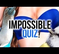 WHERE TO FIND BLUE BOOBS? – Impossible Quiz 2 – Part 2