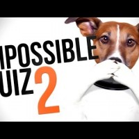WHY IS THERE MORE? – Impossible Quiz 2