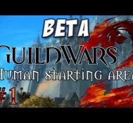 Yogscast – Guild Wars 2: Human Part 1 – Starting Zone and Cutscene
