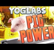 Pig Powered Cloning – YogLabs (Sync Mod)