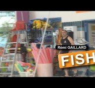 Fish (Rémi Gaillard)