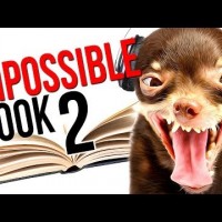 THIS CHALLENGE WILL TURN ANYONE CRAZY! – IMPOSSIBLE BOOK – Part 2