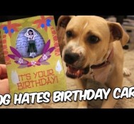 Dog hates Birthday Card