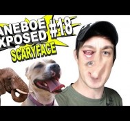 Daneboe Exposed #18: SCARYFACE!
