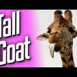 Tall Goat (Goat Sim #6)