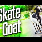 Skate Goat (Goat Simulator Part 1)