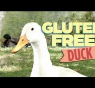 Gluten Free Duck