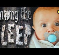 SCARED BABY! – Among The Sleep – Part 1