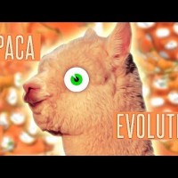 This game will change your life forever.. (Alpaca Evolution)