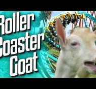 Goat Sim – Rollercoaster Goat (Co-op)