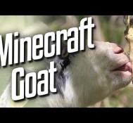 Goat Sim – Minecraft Goat
