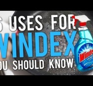 6 Uses for Windex You Should Know