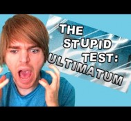 THE STUPID TEST *GAME*!