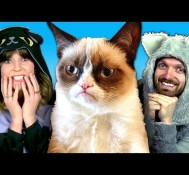 50 VIRAL CAT VIDEOS IN 4 MINUTES (Ft. Grumpy Cat & Grace Helbig!)