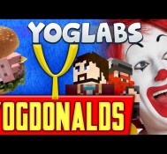 Minecraft Mods – YogDonalds – YogLabs