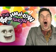 The Marshmallow Show #4:  FLULA
